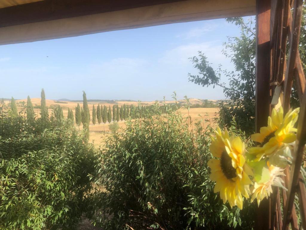 Casa Country House Girasole Vakantie Huis-Wakacje Huis Asciano Exteriér fotografie