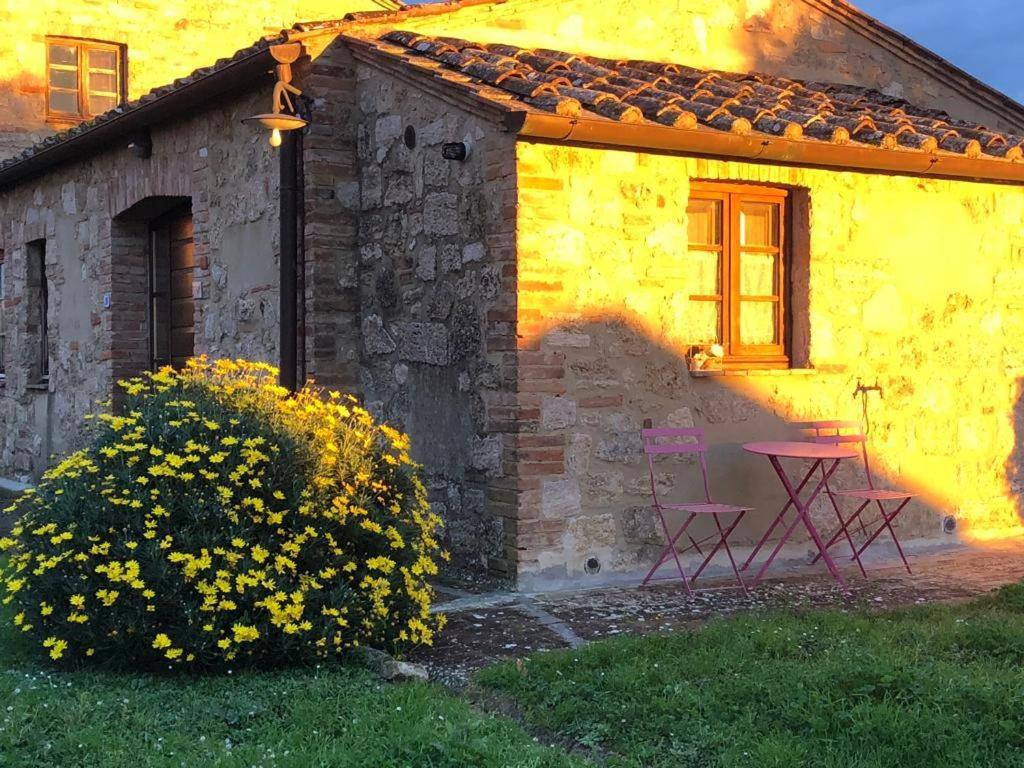Casa Country House Girasole Vakantie Huis-Wakacje Huis Asciano Exteriér fotografie