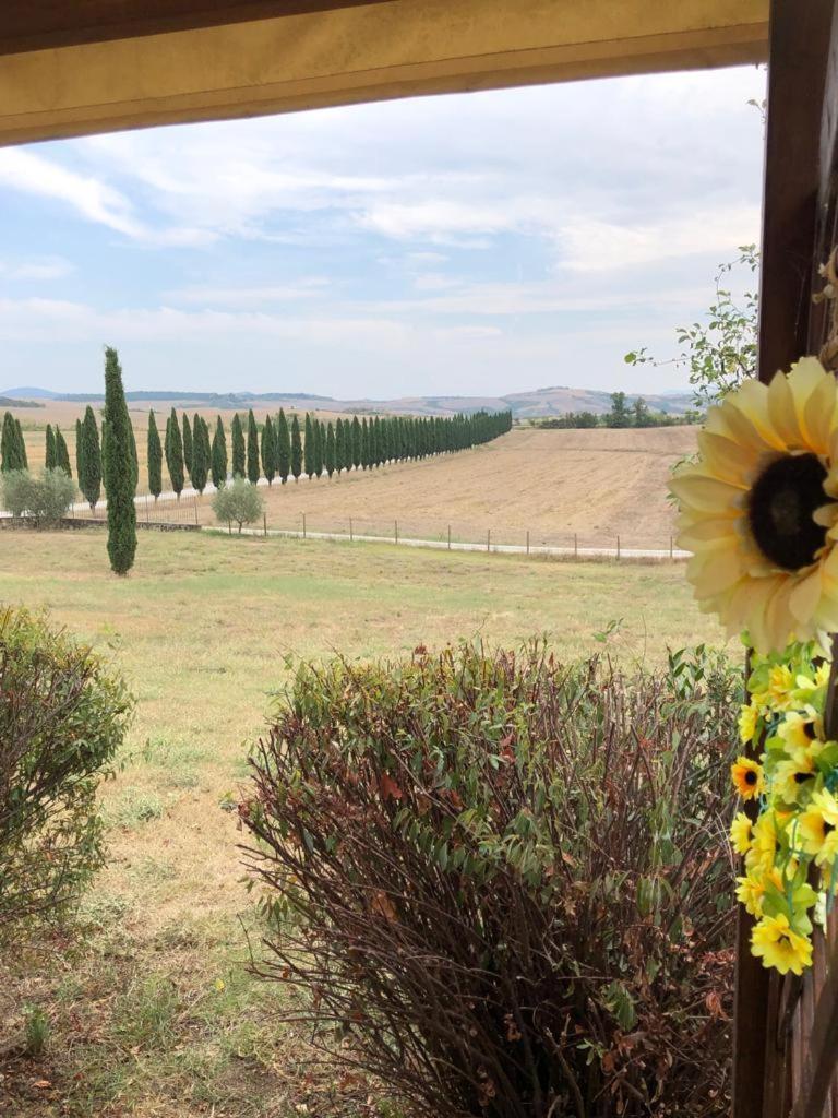 Casa Country House Girasole Vakantie Huis-Wakacje Huis Asciano Exteriér fotografie