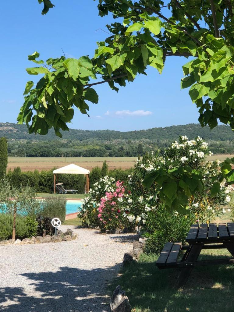 Casa Country House Girasole Vakantie Huis-Wakacje Huis Asciano Exteriér fotografie